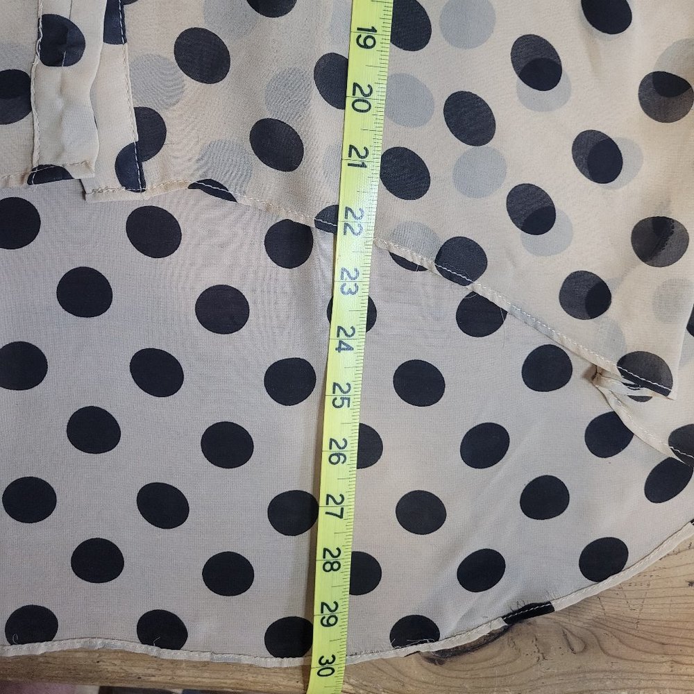 San Souci Polka Dot Sheer Blouse - Picture 3 of 8